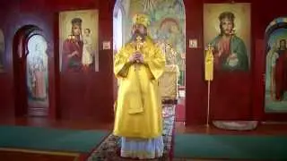 Проповедь епископа Максима на Литургии в селе Домачи