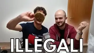 Abbiamo provato le Gallette Ricoperte di @alextheory_university!!!! [STUPEFATTI]