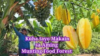 Munting Food Forest