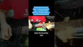 Seize The Day Guitar Solo #shorts
