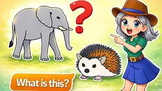 English Vocabulary Quiz on 50 Animal Names #english #vocabulary #quiz
