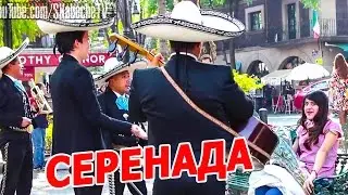 НЕОЖИДАННАЯ СЕРЕНАДА (ПРАНК)
