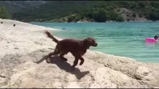 video 1468146498