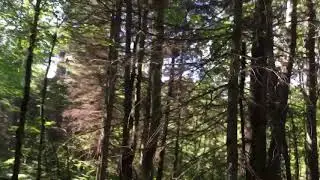 Petite après-midi entre filles