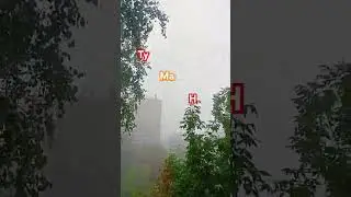 29 августа 2024 г.
