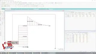 Column Eccentric in Staad Pro v8i