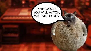 If a Cat created a 12 bar blues song...
