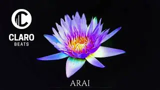 Instru Type Beat ANAS x MAES - ARAI (2019)
