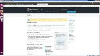 WordPress Themes and Plugins