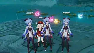 The Drew Experience | Genshin Impact