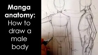Manga anatomy : How To Draw Male Body FULL LESSON