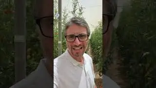 Qué pasa hoy al lado de Gaza?