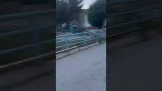 5 июня 2024 г.