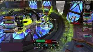 chitorpedo2