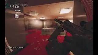 Ubi Plz