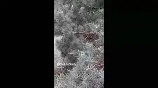 02 09 24 Это лето прошло. Нас тысяча!