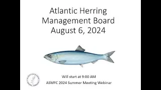Atlantic Herring Board Proceedings August 2024