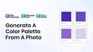 Generate A Color Palette From An Image | Xara