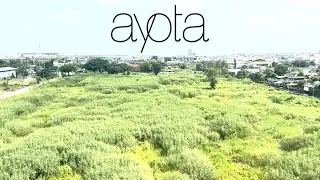 Ayota - Fading Fields