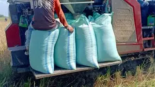 Mesin panen padi Paling Tercepat dan Tercanggih #428