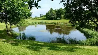 Scarisbrick Footpaths Part 5