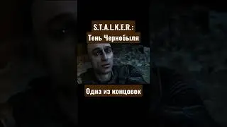Исполнитель желаний: желание, что бы Зона исчезла! 