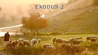 Exodus Study Series - Part 4, Exodus 2 | 5th May 2023