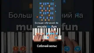 Как играть знаменитый Собачий вальс  🐩🐾 на пианино 🎹по цифрам👆
