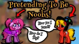 We Pretended To Be Noobs In Ponytown