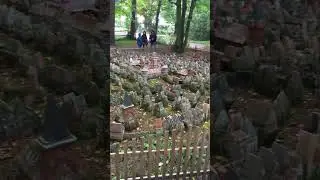 Как ждём тебя на большой земле