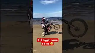 Вечный Irbis