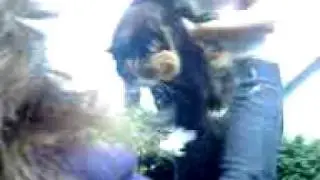 Thankyou Hope  Plus Cat!