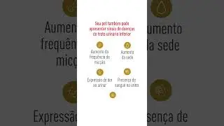 ROYAL CANIN® - Primeiros Sintomas
