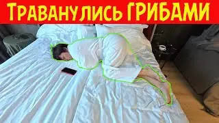 Траванулись ГРИБАМИ. Чуть не сдохли...