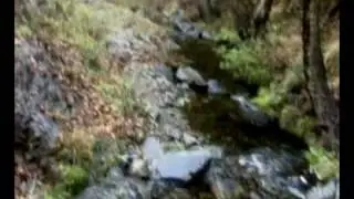 khawari 12 years old