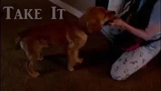 Spearmint's Tricks