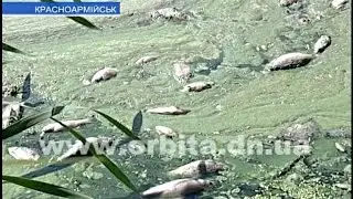 В первом ставке всплыла рыба