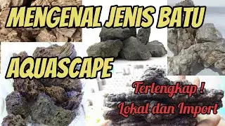 jenis batu #aquascape terlengkap lokal dan import