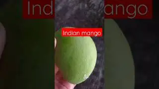 Satisfying indian mango #asmr #shorts #yummy