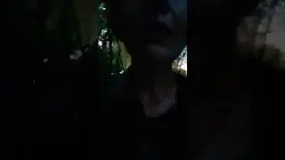 Яблоки на земле
