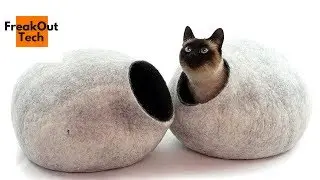 5 Incredible Inventions For Your Cat #6 ✔
