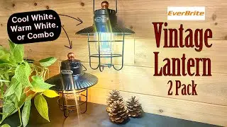 EverBrite Vintage Camping Lantern - Jack of all Trades for a Fair Price