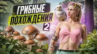 #2 БЫСТРЫЙ ЗАРАБОТОК НА ГРИБАХ | ГРИБНЫЕ ПОХОЖДЕНИЯ В GTA 5 RP | MAJESTIC RP