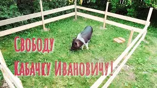 Загончик зачем-то придумали, ироды!