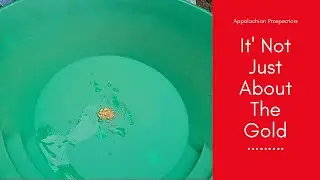 It's Not Just About The Gold