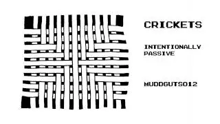 CRICKETS - INTENTIONALLY PASSIVE