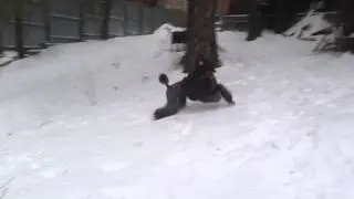 Поскакушки