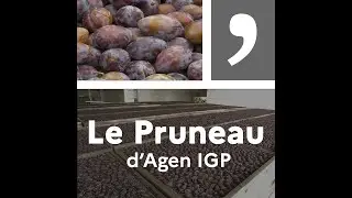 Un produit, un territoire : Le pruneau d'Agen IGP