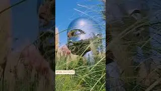 Как же красив парк Галицкого 