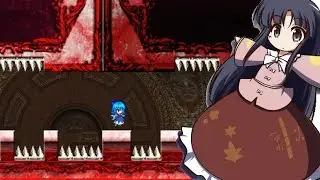 Touhou Gensokyo no Nazo ~ 19 ~ Quod Erat Demon